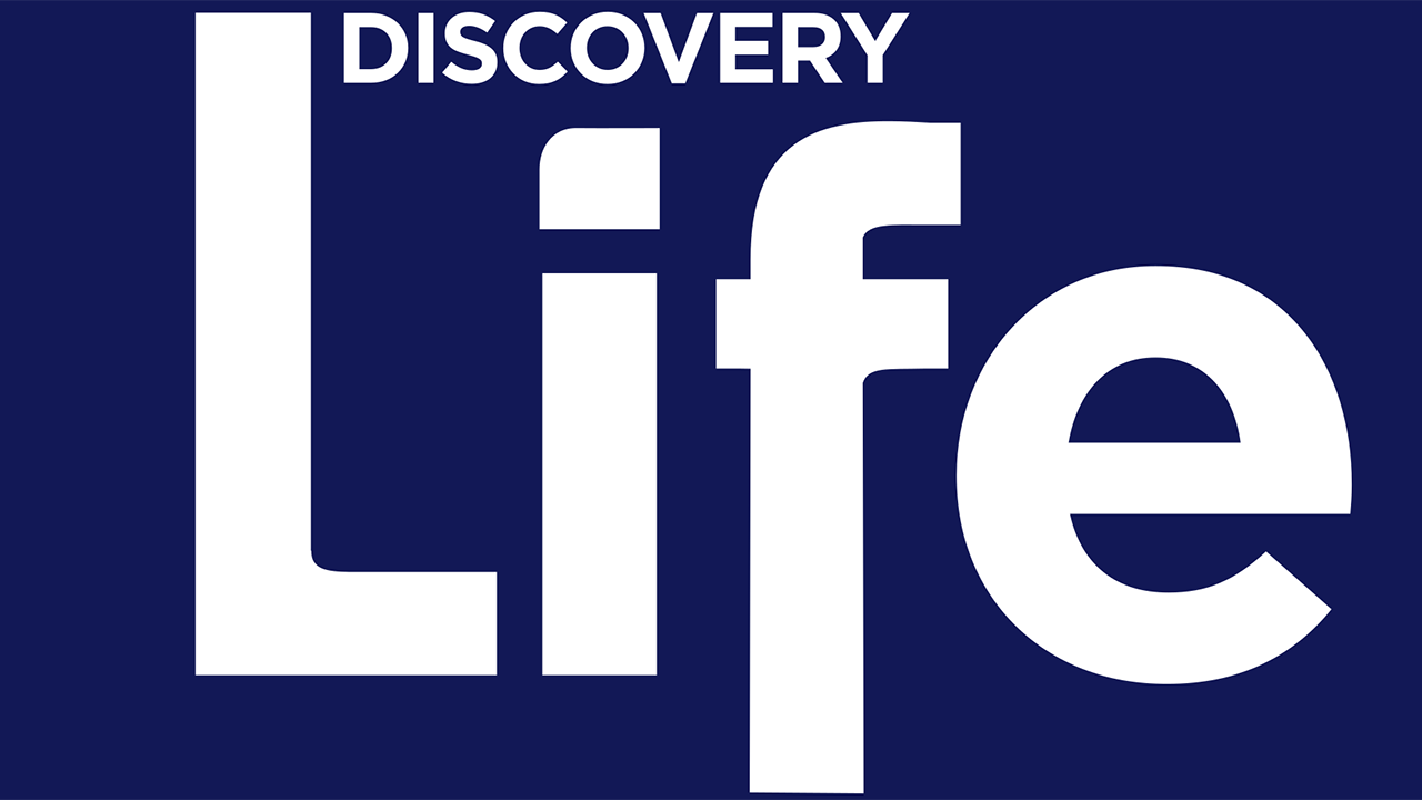 DISCLIFE