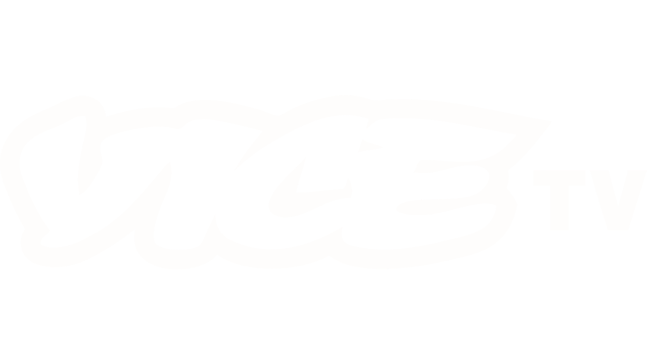 VICE