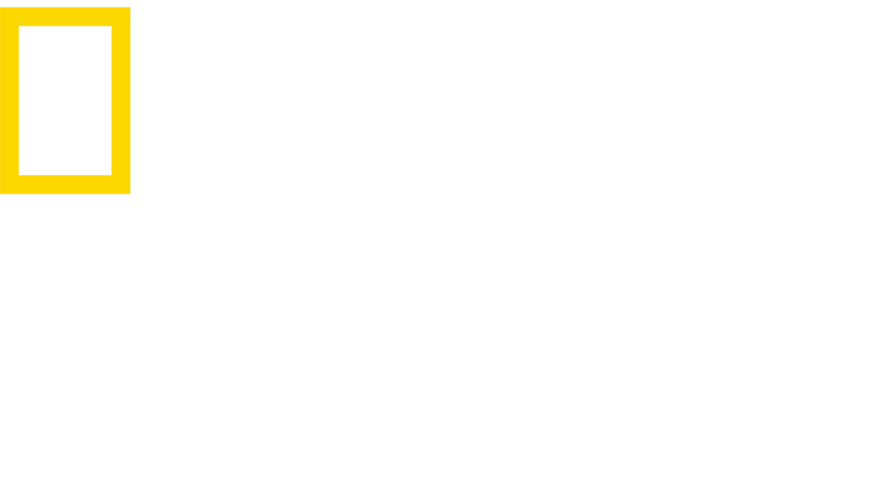 NatGeo Wild