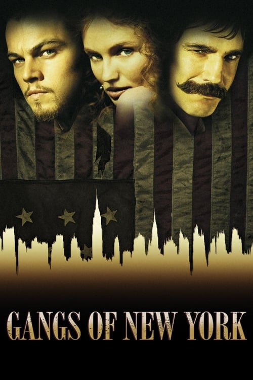 In early 1860s New York, Irish immigrant Amsterdam Vallon is released from prison and returns to the Five Points, seeking revenge against his father's killer, William Cutting, a powerful anti-immigrant gang leader. He knows that revenge can only be attained by infiltrating Cutting's inner circle. Vallon's journey becomes a fight for personal survival and to find a place for the Irish people.