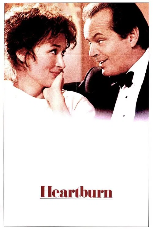 Rachel is a food writer at a New York magazine who meets Washington columnist Mark at a wedding and ends up falling in love with him despite her reservations about marriage. They buy a house, have a daughter, and Rachel thinks they are living happily ever after until she discovers that Mark is having an affair while she is waddling around with a second pregnancy.